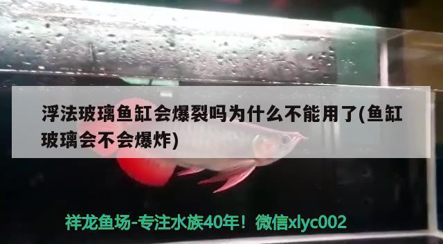 浮法玻璃鱼缸会爆裂吗为什么不能用了(鱼缸玻璃会不会爆炸)