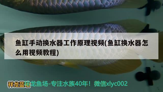 鱼缸手动换水器工作原理视频(鱼缸换水器怎么用视频教程)