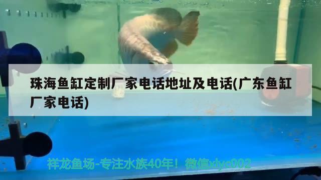 珠海鱼缸定制厂家电话地址及电话(广东鱼缸厂家电话)