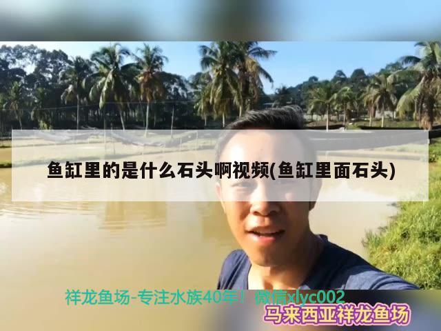 鱼缸里的是什么石头啊视频(鱼缸里面石头) 照明器材