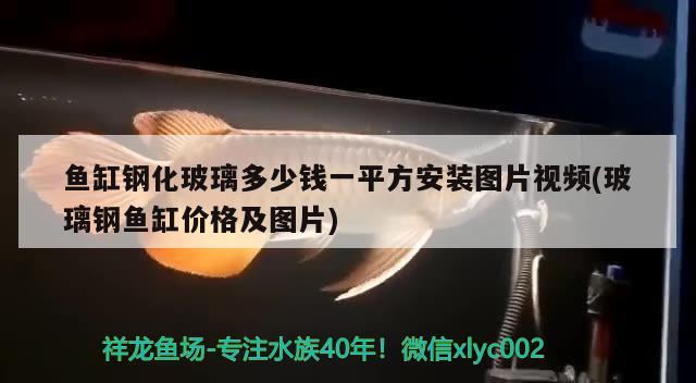 鱼缸钢化玻璃多少钱一平方安装图片视频(玻璃钢鱼缸价格及图片) 黄鳍鲳鱼