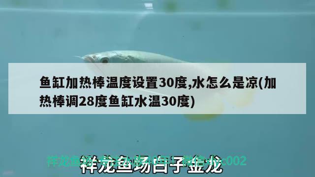 鱼缸加热棒温度设置30度,水怎么是凉(加热棒调28度鱼缸水温30度) 印尼四纹虎