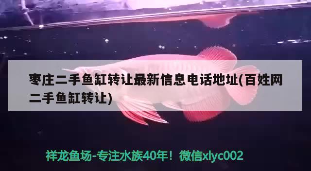 枣庄二手鱼缸转让最新信息电话地址(百姓网二手鱼缸转让) 龙鱼批发