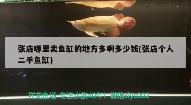 张店哪里卖鱼缸的地方多啊多少钱(张店个人二手鱼缸) 狗仔招财猫鱼