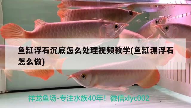 鱼缸浮石沉底怎么处理视频教学(鱼缸漂浮石怎么做)