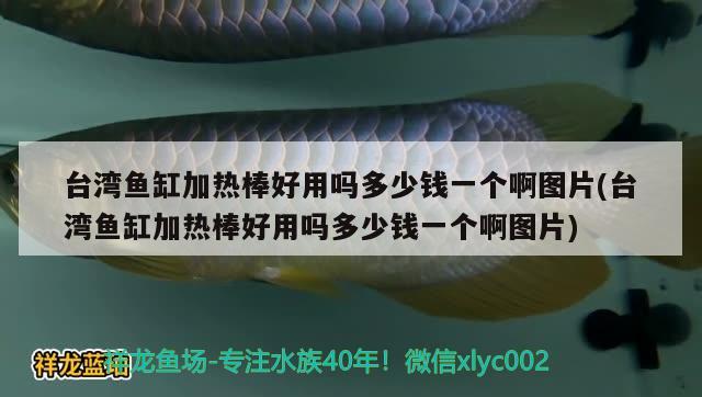 台湾鱼缸加热棒好用吗多少钱一个啊图片(台湾鱼缸加热棒好用吗多少钱一个啊图片) 水族用品