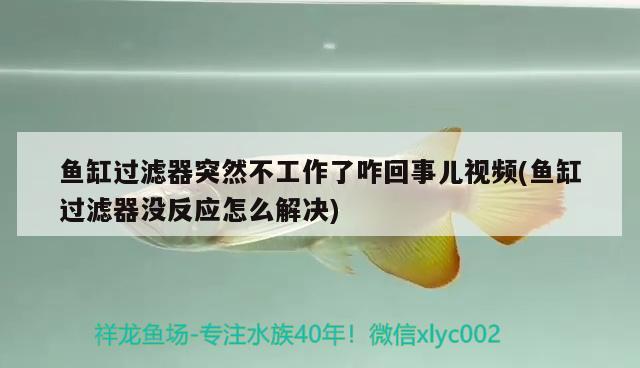 鱼缸过滤器突然不工作了咋回事儿视频(鱼缸过滤器没反应怎么解决)