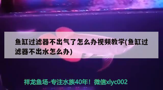 鱼缸过滤器不出气了怎么办视频教学(鱼缸过滤器不出水怎么办) 彩鲽鱼缸（彩蝶鱼缸）