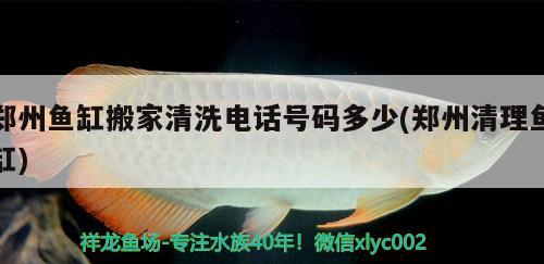 郑州鱼缸搬家清洗电话号码多少(郑州清理鱼缸) 其它水族用具设备