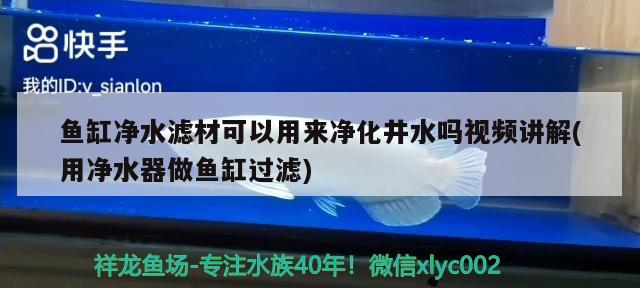 鱼缸净水滤材可以用来净化井水吗视频讲解(用净水器做鱼缸过滤) 祥龙进口元宝凤凰鱼