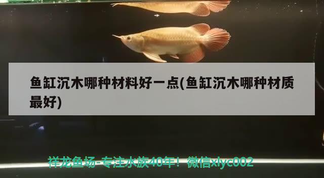 鱼缸沉木哪种材料好一点(鱼缸沉木哪种材质最好) 印尼虎苗