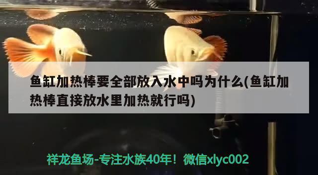 鱼缸加热棒要全部放入水中吗为什么(鱼缸加热棒直接放水里加热就行吗) 杀菌消毒设备