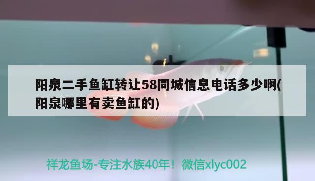 阳泉二手鱼缸转让58同城信息电话多少啊(阳泉哪里有卖鱼缸的)