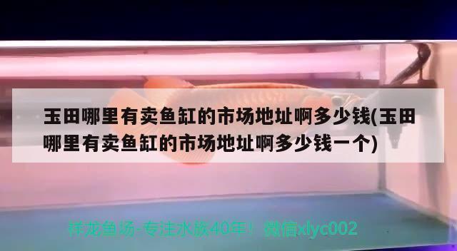 玉田哪里有卖鱼缸的市场地址啊多少钱(玉田哪里有卖鱼缸的市场地址啊多少钱一个) 其它水族用具设备