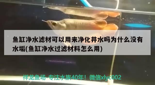 鱼缸净水滤材可以用来净化井水吗为什么没有水垢(鱼缸净水过滤材料怎么用)