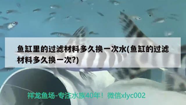 鱼缸里的过滤材料多久换一次水(鱼缸的过滤材料多久换一次?) 黑桃A鱼苗