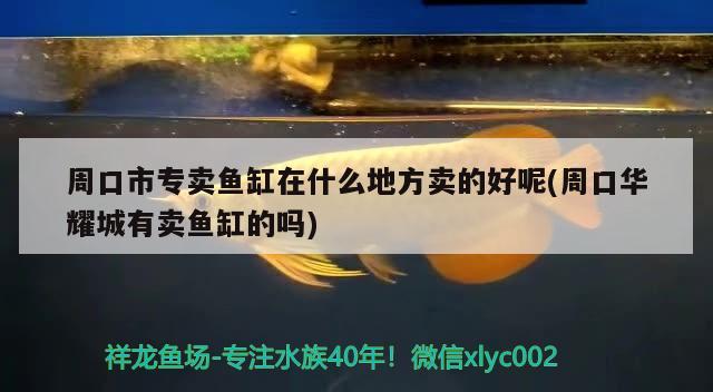 周口市专卖鱼缸在什么地方卖的好呢(周口华耀城有卖鱼缸的吗) 养鱼知识