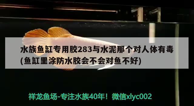 水族鱼缸专用胶283与水泥那个对人体有毒(鱼缸里涂防水胶会不会对鱼不好) 水族维护服务（上门）