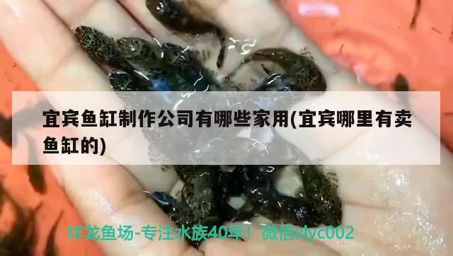 宜宾鱼缸制作公司有哪些家用(宜宾哪里有卖鱼缸的) 水草