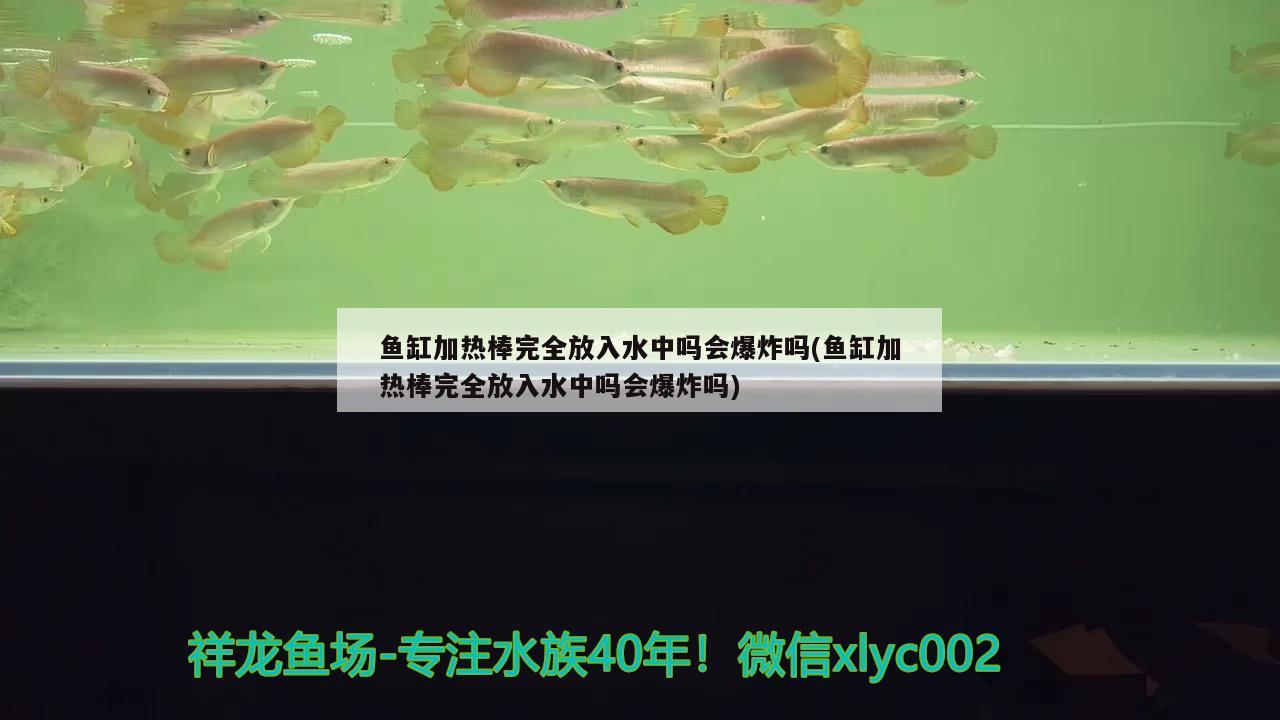 鱼缸加热棒完全放入水中吗会爆炸吗(鱼缸加热棒完全放入水中吗会爆炸吗) 水族用品