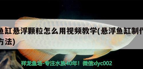 鱼缸悬浮颗粒怎么用视频教学(悬浮鱼缸制作方法)