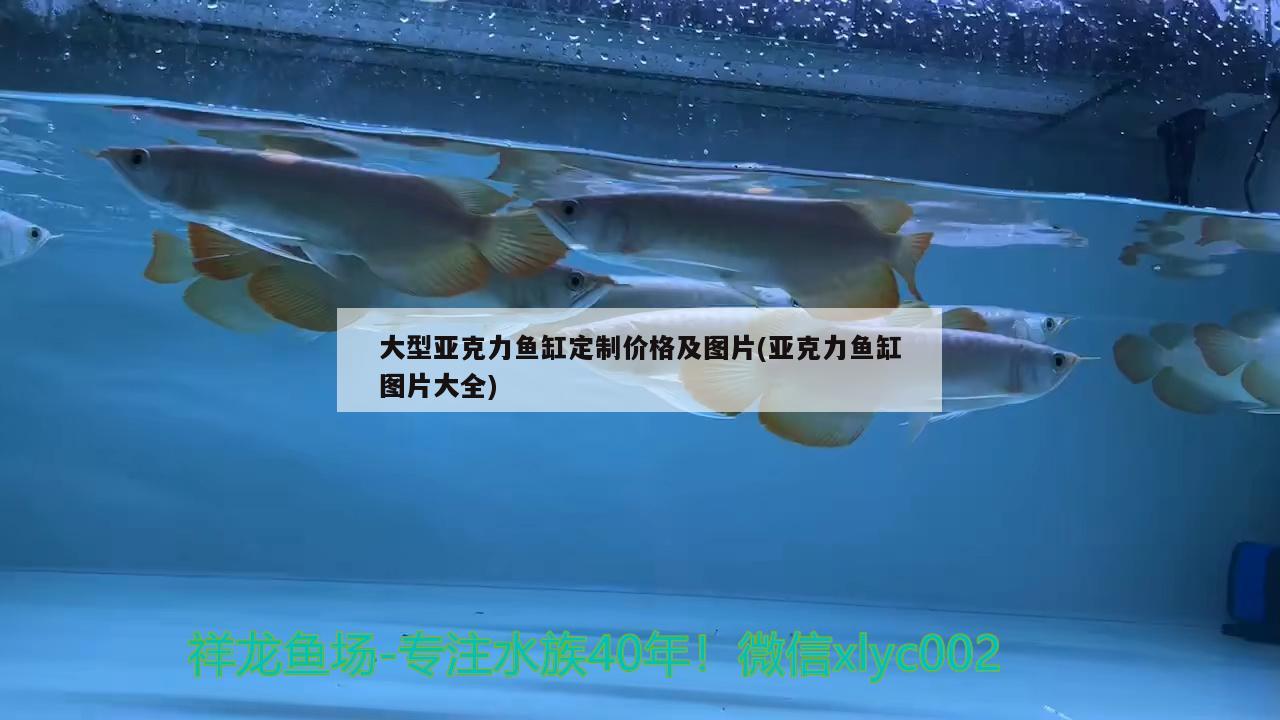 大型亚克力鱼缸定制价格及图片(亚克力鱼缸图片大全) 泰庞海鲢鱼 第2张