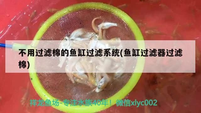 不用过滤棉的鱼缸过滤系统(鱼缸过滤器过滤棉)