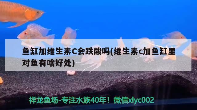 鱼缸加维生素C会跌酸吗(维生素c加鱼缸里对鱼有啥好处)