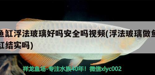 鱼缸浮法玻璃好吗安全吗视频(浮法玻璃做鱼缸结实吗) 鱼粮鱼药