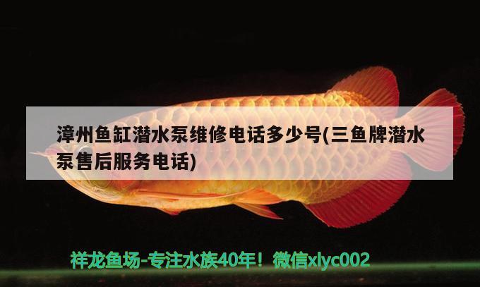 漳州鱼缸潜水泵维修电话多少号(三鱼牌潜水泵售后服务电话) 祥龙水族滤材/器材