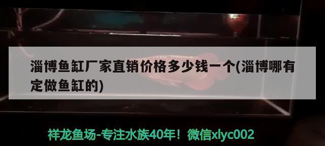 淄博鱼缸厂家直销价格多少钱一个(淄博哪有定做鱼缸的) 黑影道人鱼