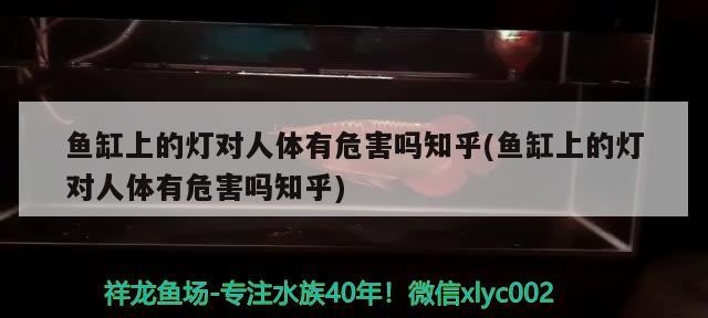 鱼缸上的灯对人体有危害吗知乎(鱼缸上的灯对人体有危害吗知乎)