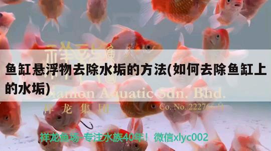 鱼缸悬浮物去除水垢的方法(如何去除鱼缸上的水垢)