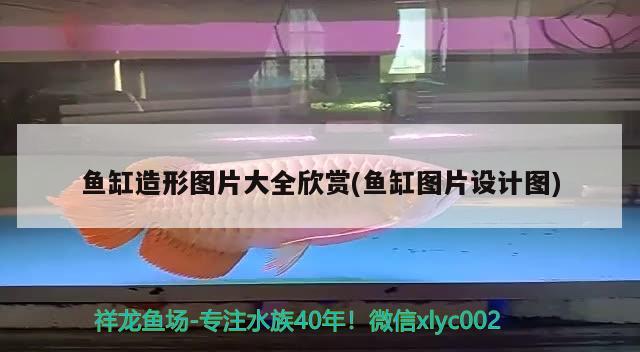 鱼缸造形图片大全欣赏(鱼缸图片设计图) 广州水族器材滤材批发市场