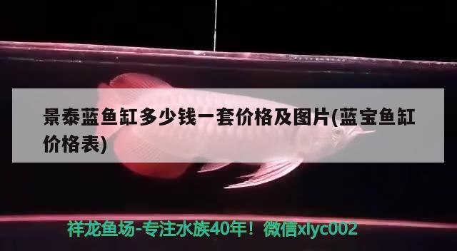 景泰蓝鱼缸多少钱一套价格及图片(蓝宝鱼缸价格表) 红魔王银版鱼