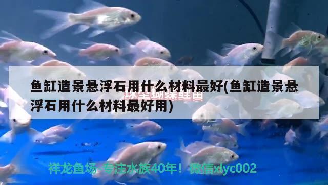 鱼缸造景悬浮石用什么材料最好(鱼缸造景悬浮石用什么材料最好用)