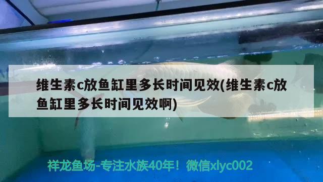 维生素c放鱼缸里多长时间见效(维生素c放鱼缸里多长时间见效啊)