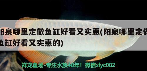 阳泉哪里定做鱼缸好看又实惠(阳泉哪里定做鱼缸好看又实惠的) 祥龙蓝珀金龙鱼