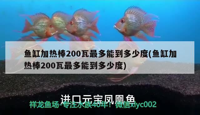 鱼缸加热棒200瓦最多能到多少度(鱼缸加热棒200瓦最多能到多少度) 祥龙鱼场