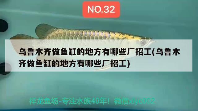 乌鲁木齐做鱼缸的地方有哪些厂招工(乌鲁木齐做鱼缸的地方有哪些厂招工) 黑白双星