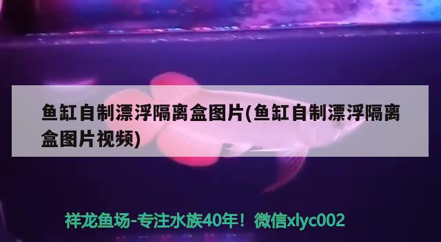 鱼缸自制漂浮隔离盒图片(鱼缸自制漂浮隔离盒图片视频) 鱼缸水泵