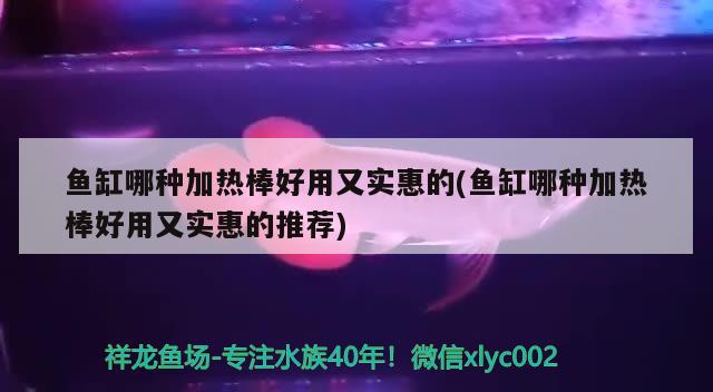 鱼缸哪种加热棒好用又实惠的(鱼缸哪种加热棒好用又实惠的推荐)