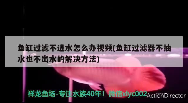 鱼缸过滤不进水怎么办视频(鱼缸过滤器不抽水也不出水的解决方法) 彩鲽鱼缸（彩蝶鱼缸）