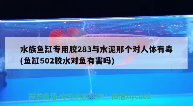 水族鱼缸专用胶283与水泥那个对人体有毒(鱼缸502胶水对鱼有害吗) 巴西亚鱼