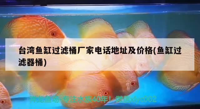 台湾鱼缸过滤桶厂家电话地址及价格(鱼缸过滤器桶)