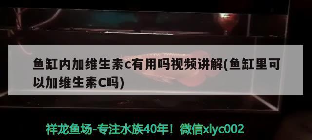 鱼缸内加维生素c有用吗视频讲解(鱼缸里可以加维生素C吗) 铁甲武士