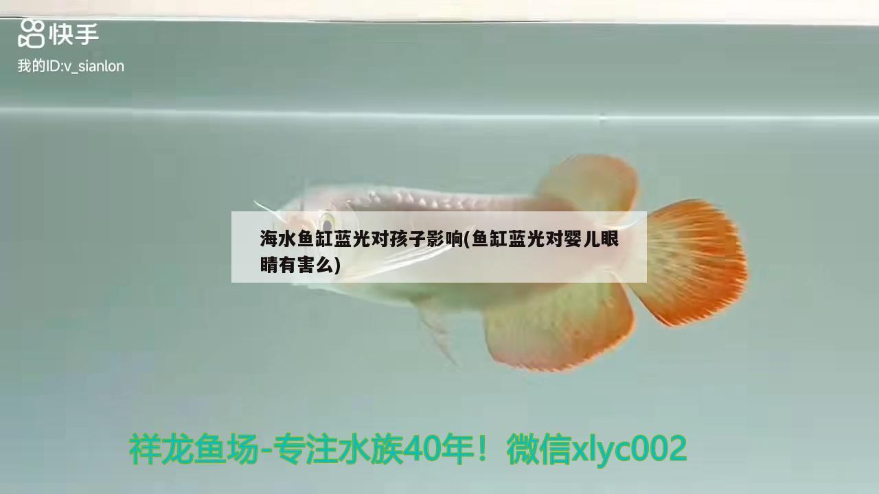 海水鱼缸蓝光对孩子影响(鱼缸蓝光对婴儿眼睛有害么)