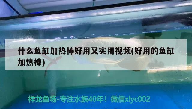 什么鱼缸加热棒好用又实用视频(好用的鱼缸加热棒) 潜水泵 第2张