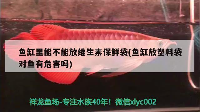 鱼缸里能不能放维生素保鲜袋(鱼缸放塑料袋对鱼有危害吗)