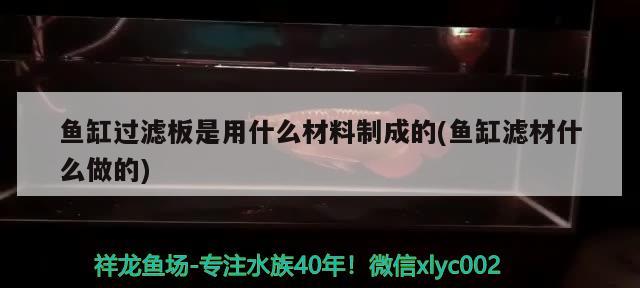 鱼缸过滤板是用什么材料制成的(鱼缸滤材什么做的) 绿皮辣椒小红龙